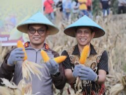 Sinergi Polri dan Pemkot: Kakorbinmas Baharkam Polri dan Wali Kota Weny Gaib Pimpin Panen Raya Jagung di Kotamobagu