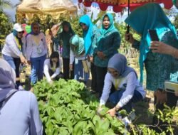 Ketua TP-PKK Kotamobagu Tinjau Penilaian AKU HATINYA PKK, Dorong Pekarangan Produktif Jadi Budaya Warga